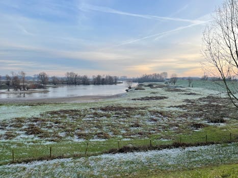Het weer vandaag Wijchen: temperatuur, regen en wind