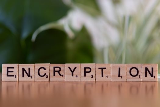 Daarom blijft het cryptogram zo populair in Wijchen: hier vind je elke dag een nieuwe puzzel