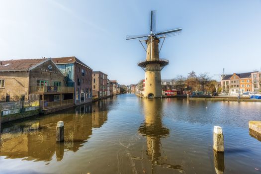 Bezoekers genieten van een sfeervol festival in het centrum van Schiedam met muziek, terrassen en historische panden